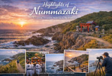 Highlights of Nummazaki