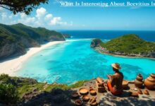 What Is Interesting About Beevitius Islands